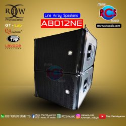 Line Array Speakers RDW ABO12NE PASIF
